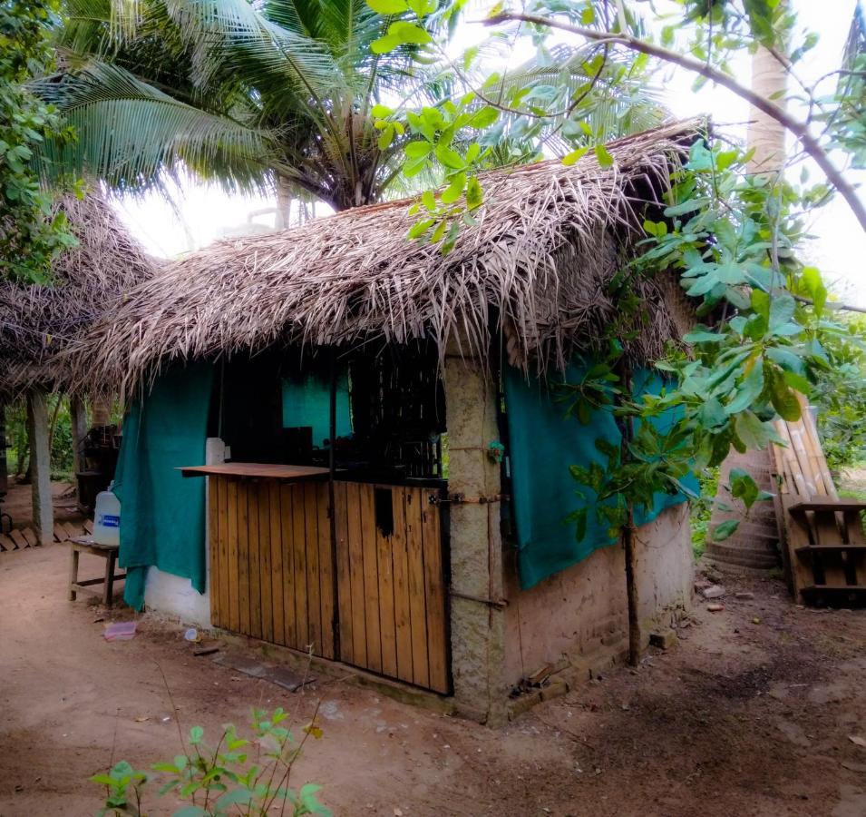 Peace Garden Hostel Auroville Exterior foto