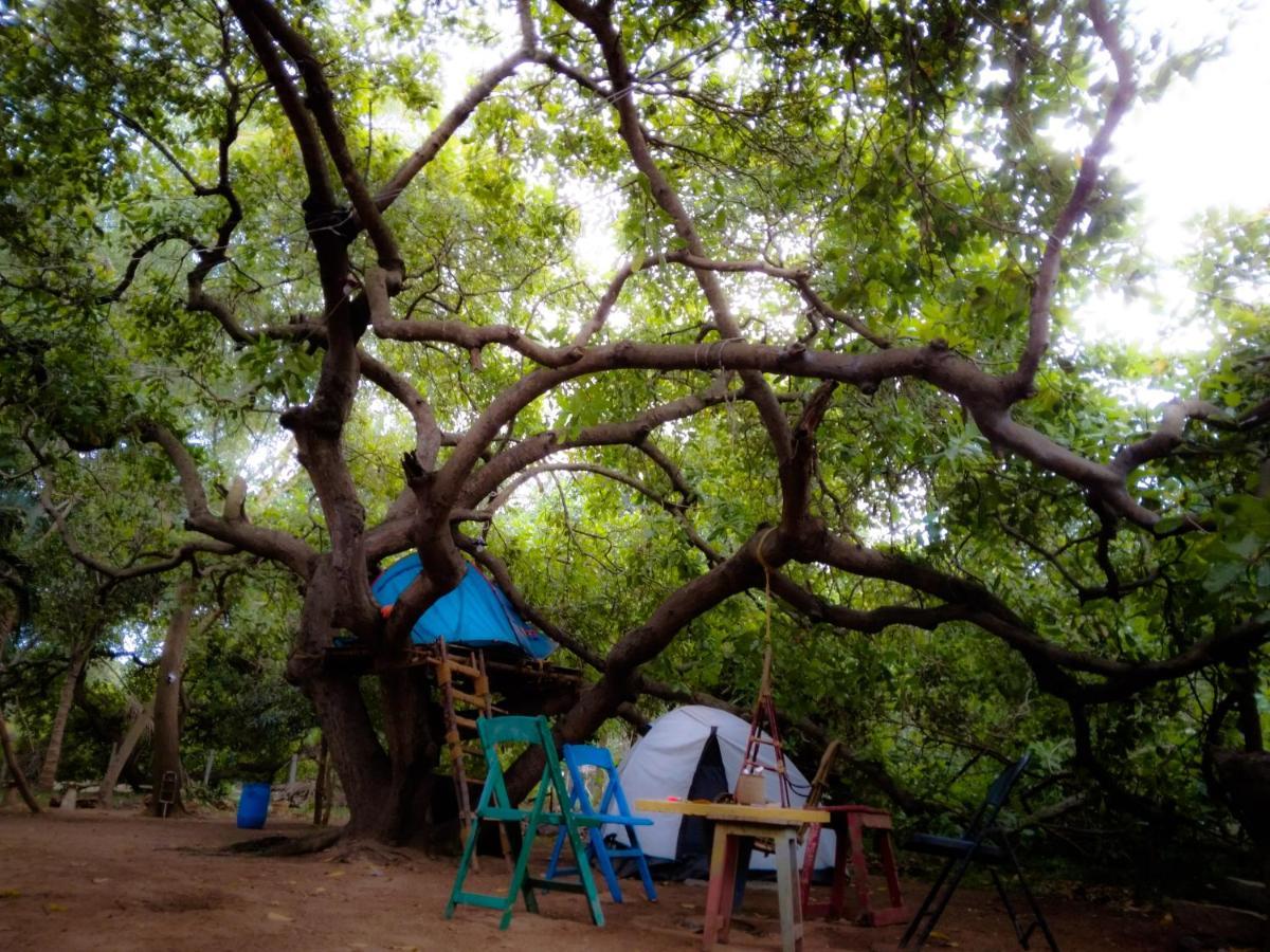 Peace Garden Hostel Auroville Exterior foto